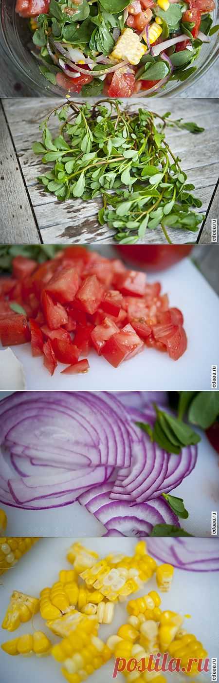 Овощной салат с портулаком. Ингредиенты:
Листья портулака – 2 стакана
Кукуруза – 1/2 стакана
Красный лук – 1/2 стакана
Яйца – 2 шт
Помидоры – 1 большой
Морская соль – 1/4 чайной ложки
Свежемолотый перец – 1/2 чайной ложки
Масло лесного ореха (или другое любимое масло) – 1 столовая ложка