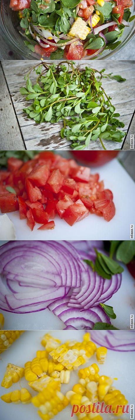 Овощной салат с портулаком. Ингредиенты:
Листья портулака – 2 стакана
Кукуруза – 1/2 стакана
Красный лук – 1/2 стакана
Яйца – 2 шт
Помидоры – 1 большой
Морская соль – 1/4 чайной ложки
Свежемолотый перец – 1/2 чайной ложки
Масло лесного ореха (или другое любимое масло) – 1 столовая ложка