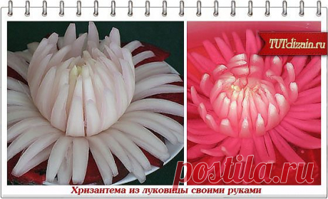 Хризантема из луковицы своими руками + Фото » Дизайн &amp; Декор своими руками