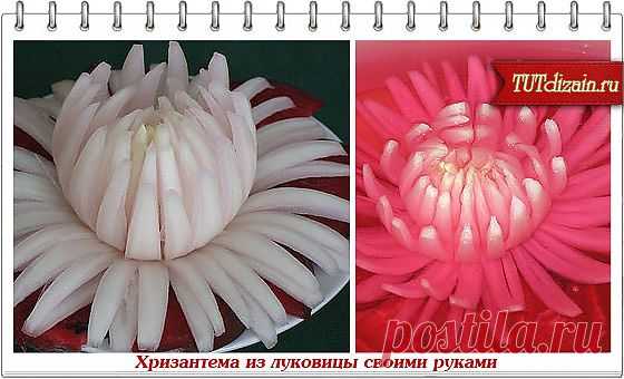 Хризантема из луковицы своими руками + Фото » Дизайн & Декор своими руками