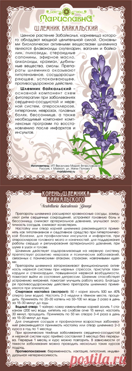 Шлемник байкальский