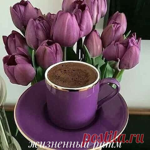 Весны, тепла, уюта и добра... И радости чуть больше, чем вчера!!!
Доброе утро!!!
©