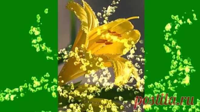 ДАРИТЕ ЖЁЛТЫЕ ЦВЕТЫ,НЕ ВЕРЬТЕ ЗЛЫМ ПРИМЕТАМ!