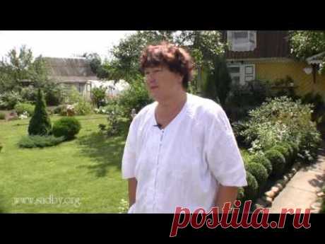 Личный опыт: уютная дача - Ландшафтный дизайн своими руками - идеи для дизайна сада