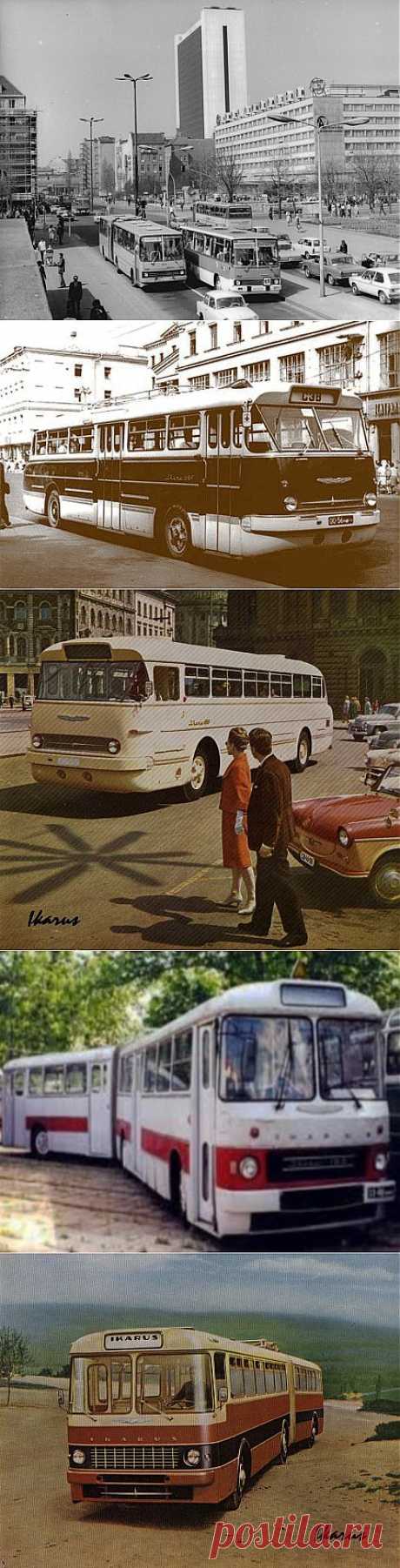 Икарусы нашего детства / Назад в СССР / Back in USSR