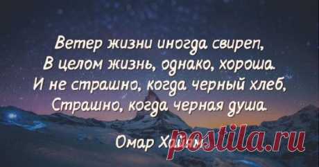 15 острых и умных высказываний