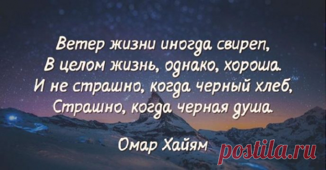 15 острых и умных высказываний