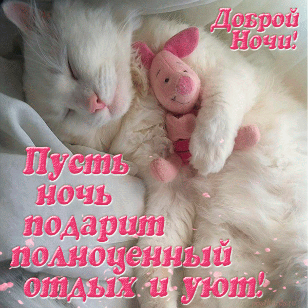 Доброй ночи, сладких снов,
Пусть снится только счастье.
Чтоб не было во сне оков
И не было ненастья.