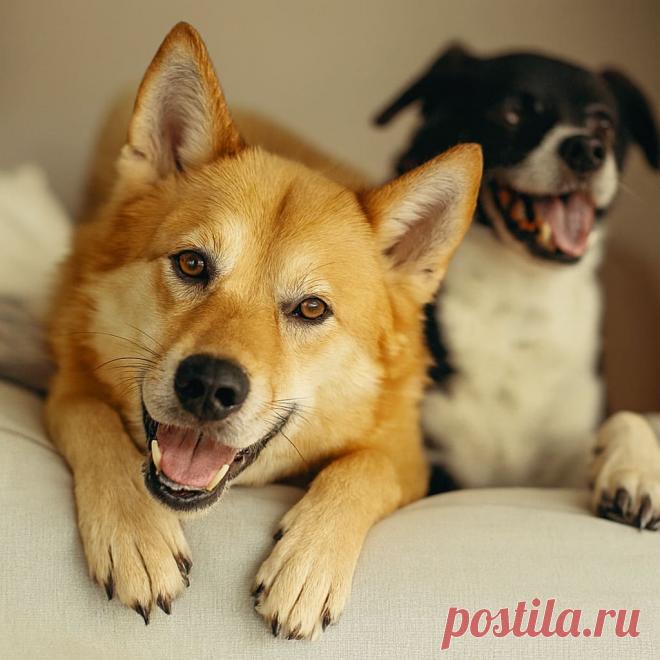 Две сестры - OGADANIE.RU