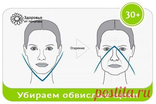 (93) Одноклассники