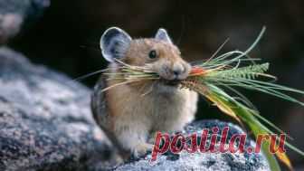 Красивые картинки на рабочий стол