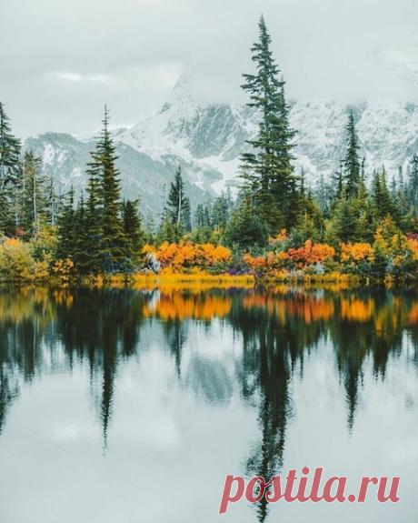 Музыка, подобно дождю, капля за каплей, просачивается в сердце и оживляет его.
Ромен Роллан