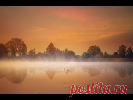 Юрий Пахомов