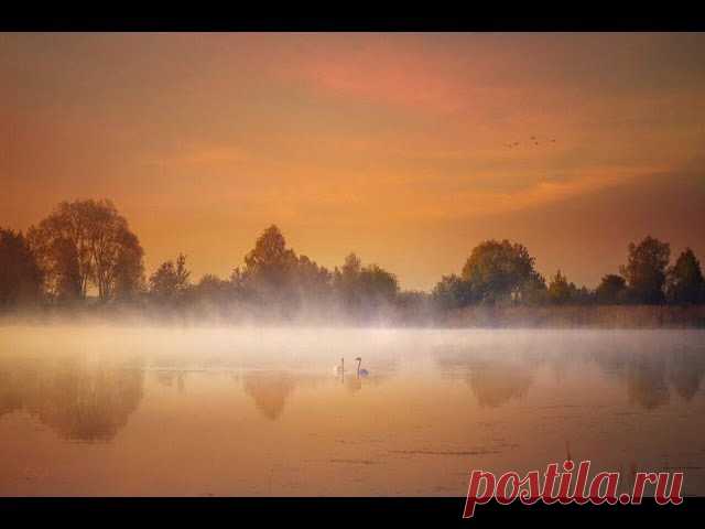 Юрий Пахомов