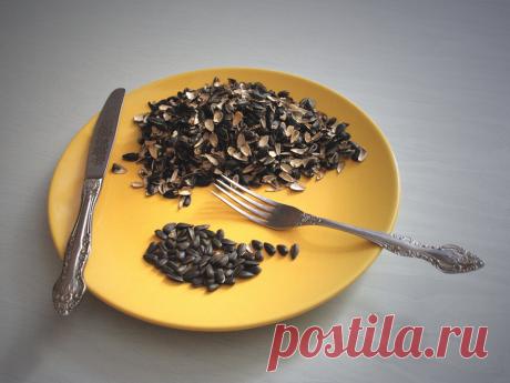 Определены уникальные свойства семечек | Polza-vred.su