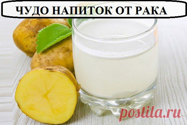 Всё самое интересное!: ФРУКТ, КОТОРЫЙ ЛЕЧИТ РАК