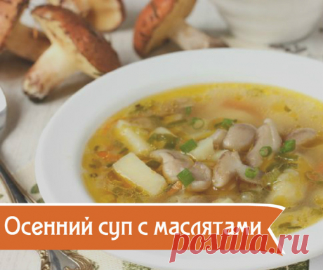 Непременно, оцените по достоинству;)) 8 аппетитных блюд с лесными грибами — Готовим дома