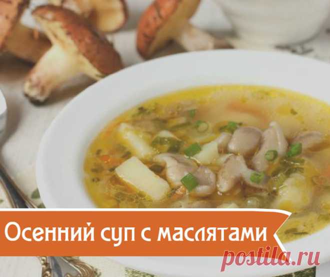 Непременно, оцените по достоинству;)) 8 аппетитных блюд с лесными грибами — Готовим дома