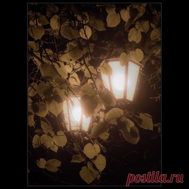 Фотографія Осеннее.. / Дмитрий Домбровский / photographers.ua