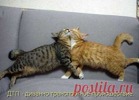 Поцелуй меня с разбега...