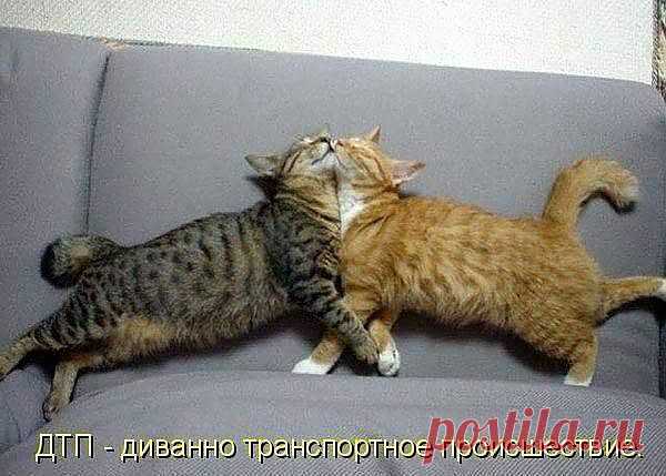 Поцелуй меня с разбега...