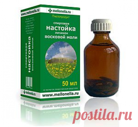 Восковая моль. Настойка восковой моли.