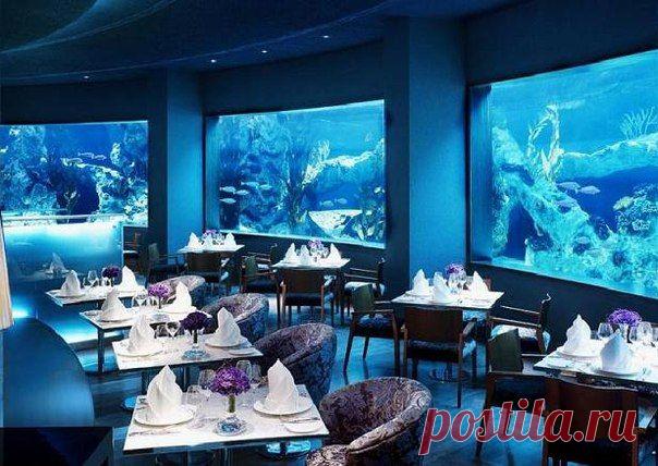 Татьяна Павлова