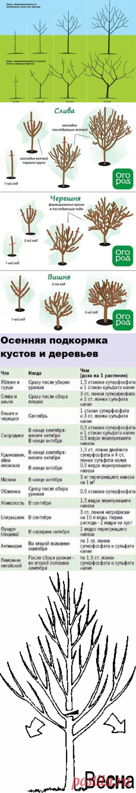 (1734) Pinterest