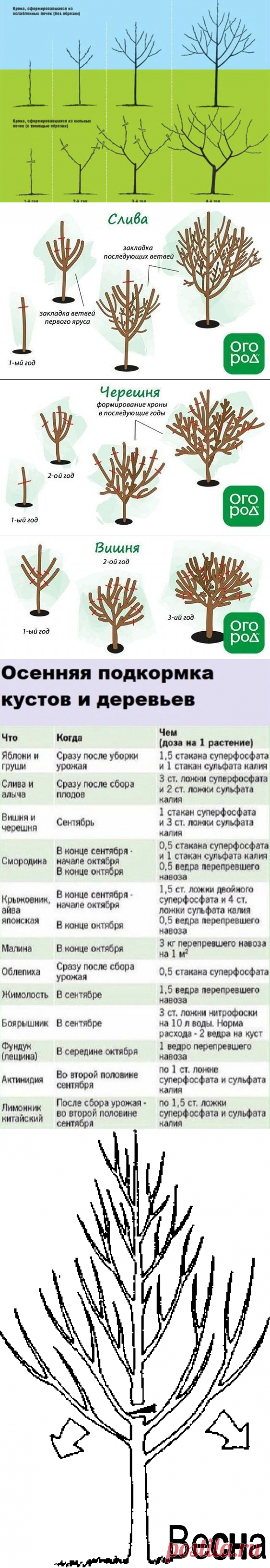 (1734) Pinterest