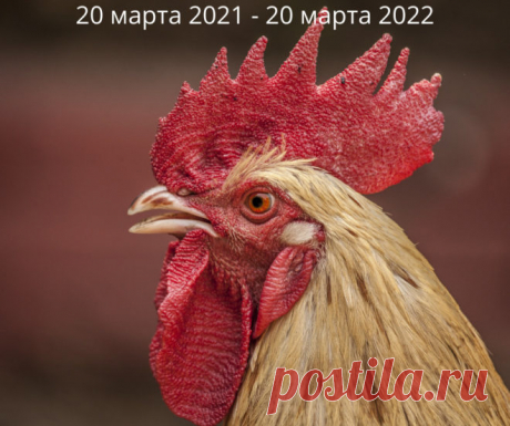 2021 год по славянскому календарю: когда и как встречаем Кричащего Петуха