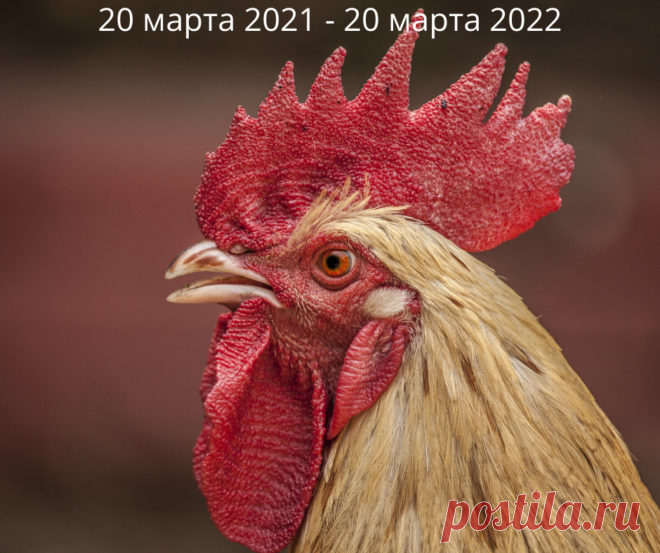 2021 год по славянскому календарю: когда и как встречаем Кричащего Петуха