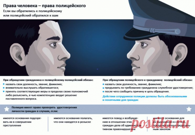 Толстый ленивый одмин