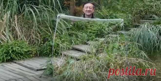 Плащ невидимка, цепи из камня, загадки Сибири и Леомульт.