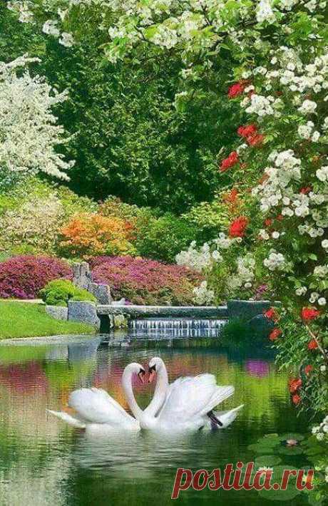 Beautiful