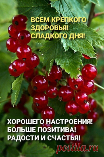 Идеи открыток ко дню рождения подруги

    Романтический стиль

    Дизайн: нежные пастельные тона, цветы, сердечки

    Декор: кружева, ленты, стразы