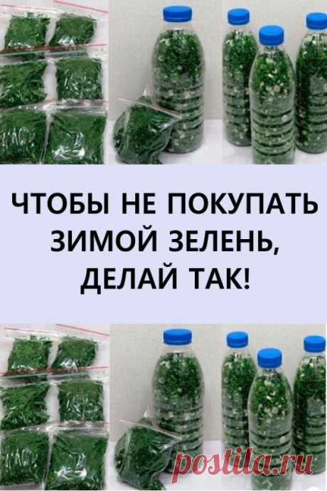 Чтобы не ПОКУПАТЬ зимой ЗЕЛЕНЬ, делай так! Замораживаем даже зеленый лук! #кулинария #рецепты #еда #заморозка #назиму #заготовкиназиму