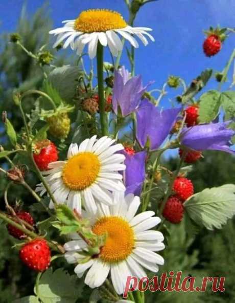 Всё давно сказано и написано... 
Осталось - ЖИТЬ и ЛЮБИТЬ!!!