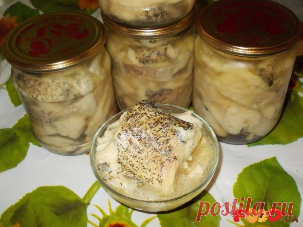 Рыбные консервы из щуки - Кулинарные рецепты на Food.ua