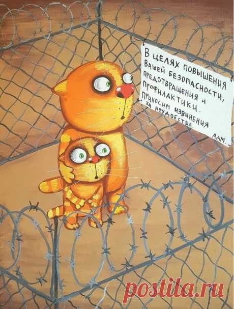 Pin page