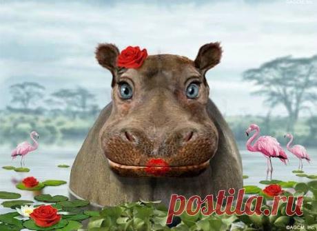 Интересные новости