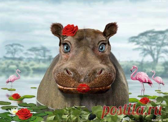 Интересные новости