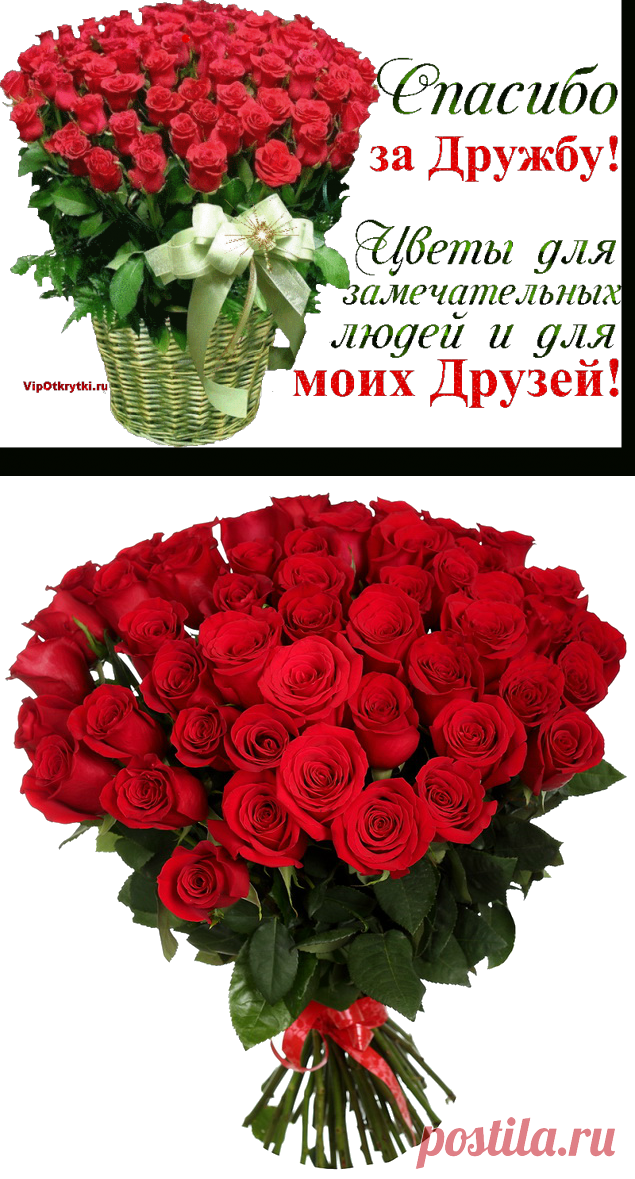 Спасибо за дружбу! | Музыкальные открытки, Поздравления, Праздники, Сюрпризы, Подарки