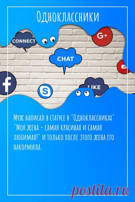 Цитата про «социальную сеть Одноклассники» — Муж написал в статусе в &quot;Одноклассниках&quot; &quot;Моя…