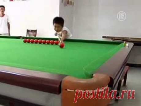 3-летний вундеркинд поражает игрой в бильярд (новости)