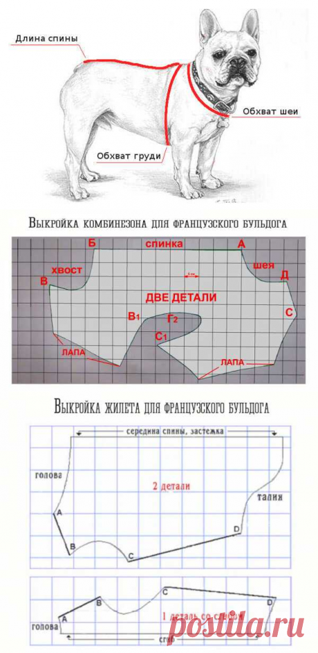 Выкройки для французского бульдога своими руками – Какая одежда нужна для французского бульдога? (+выкройки) - Зоосалон "Филимон"