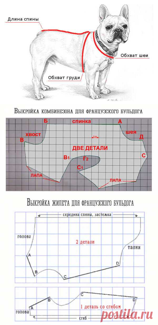 Выкройки для французского бульдога своими руками – Какая одежда нужна для французского бульдога? (+выкройки) - Зоосалон 