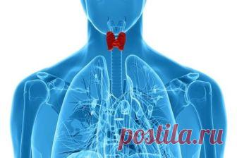 КИНЕЗИОЛОГИЧЕСКАЯ ТЕХНИКА: 10 МИНУТ В ДЕНЬ И ВЫ ЗАБУДЕТЕ ПРО БОЛЕЗНИ! – БУДЬ В ТЕМЕ