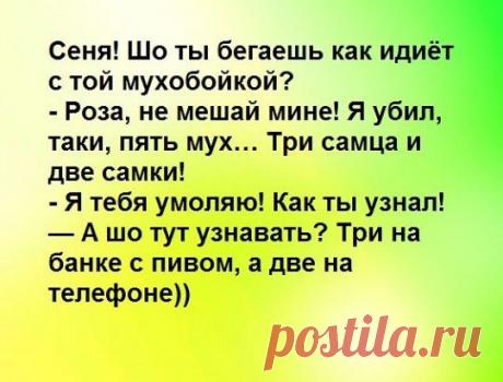 (8) Одноклассники