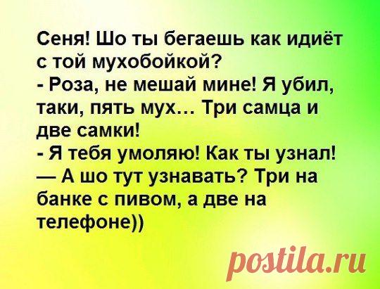 (8) Одноклассники