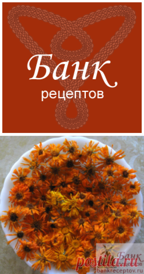 Лекарственные травы. Банк рецептов